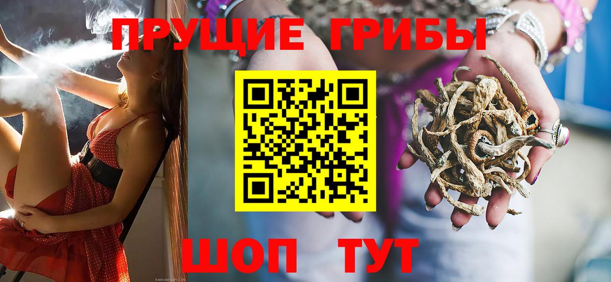 Галлюциногенные грибы ЛСД Усть-Джегута